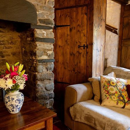 Deer House Villa Machynlleth Esterno foto