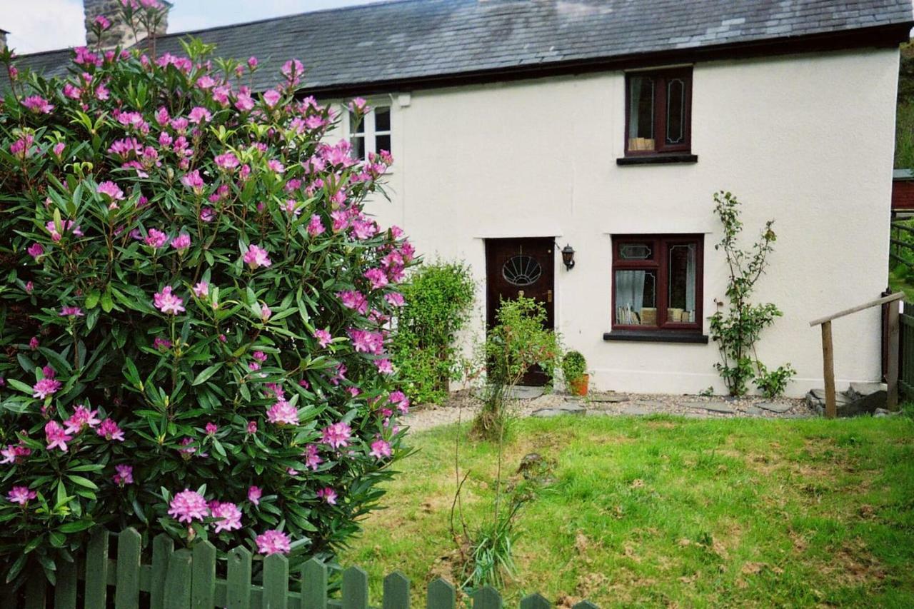 Deer House Villa Machynlleth Esterno foto