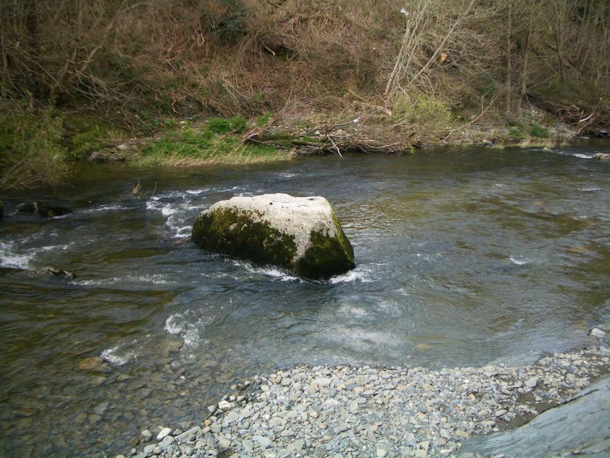 Deer House Villa Machynlleth Esterno foto