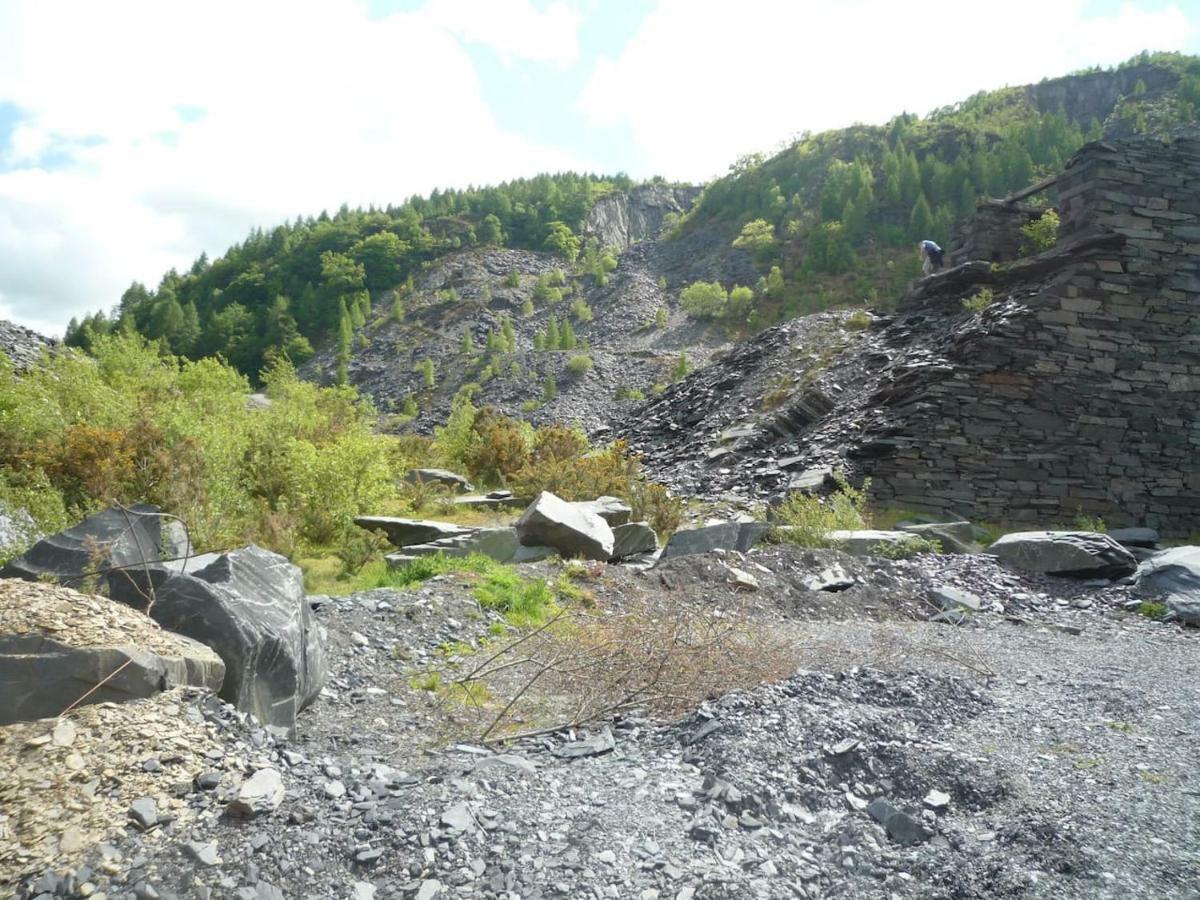 Deer House Villa Machynlleth Esterno foto